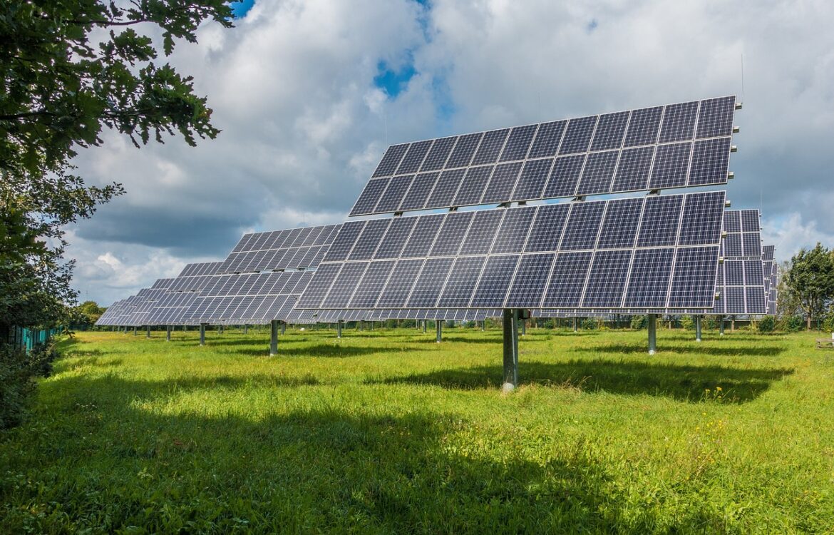 Weathering Sustainability Trends