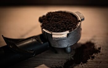 ai and productivity tools