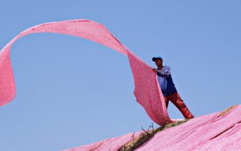textile workers inspecting fabric