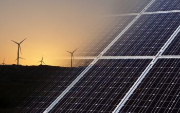 green forest sustainable business