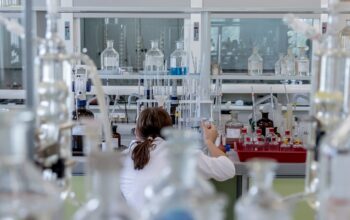 engineers working in modern lab