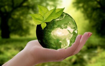 sustainable city development