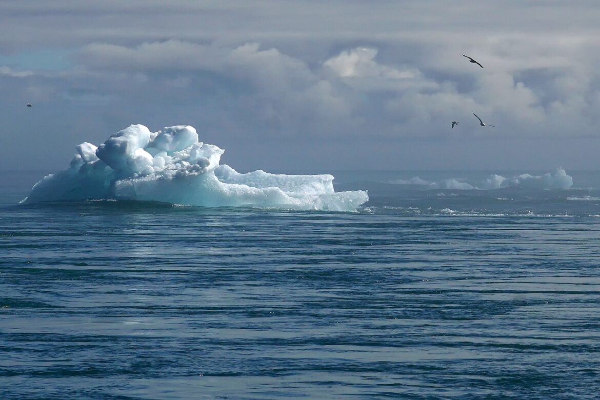 Managing Climate Projects For A Sustainable Future