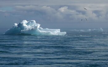 climate resilience project management