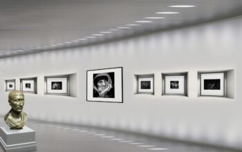 legal documents in art gallery