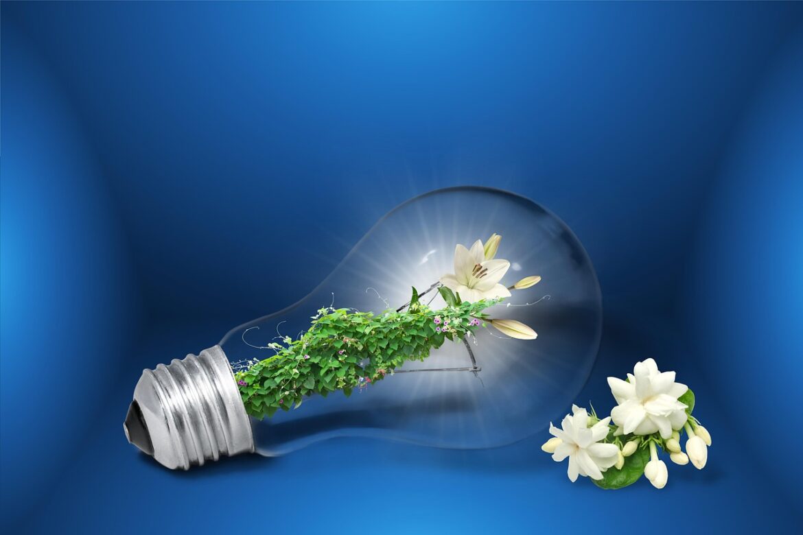 Trends In Sustainability Interviews