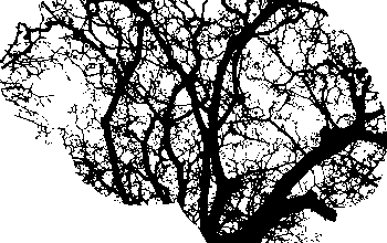 mental health support group