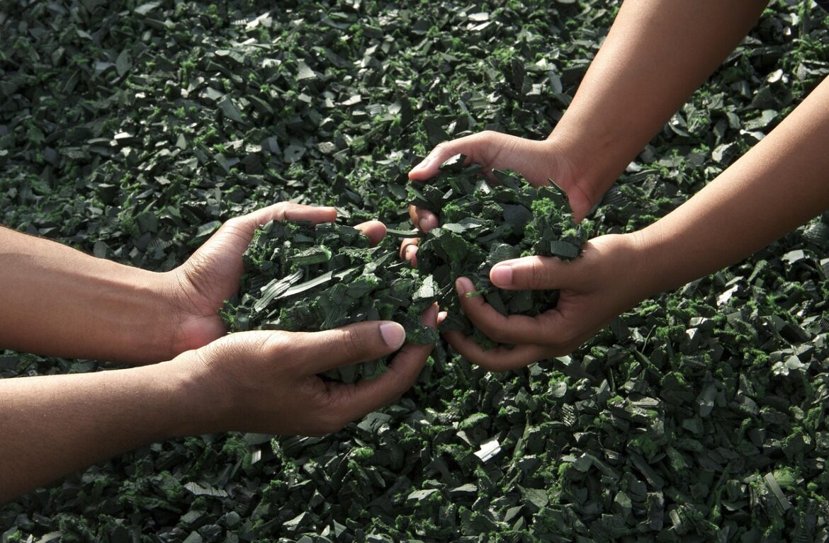 Revolutionizing Supply Chains