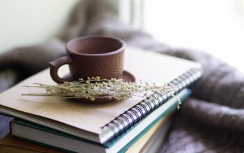 mental health support session