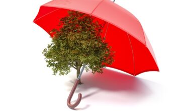 eco friendly innovations