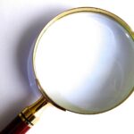 brain with sharp focus