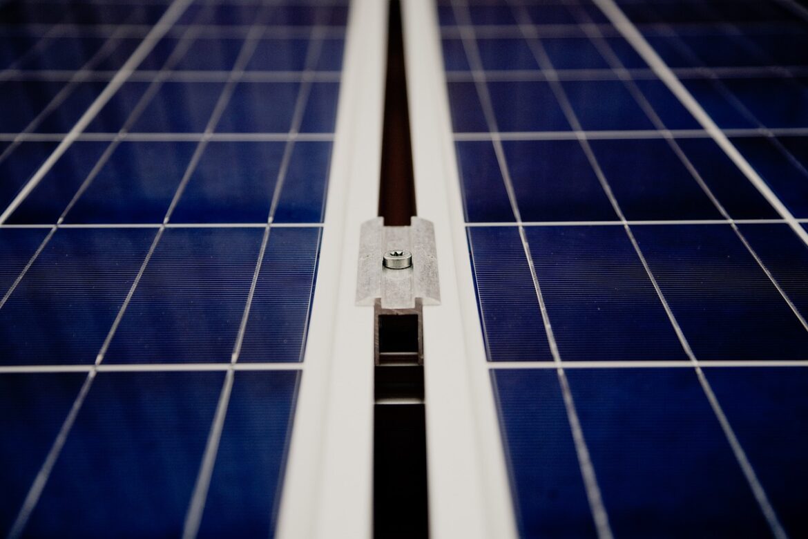 Companies Leading the Way in Sustainability