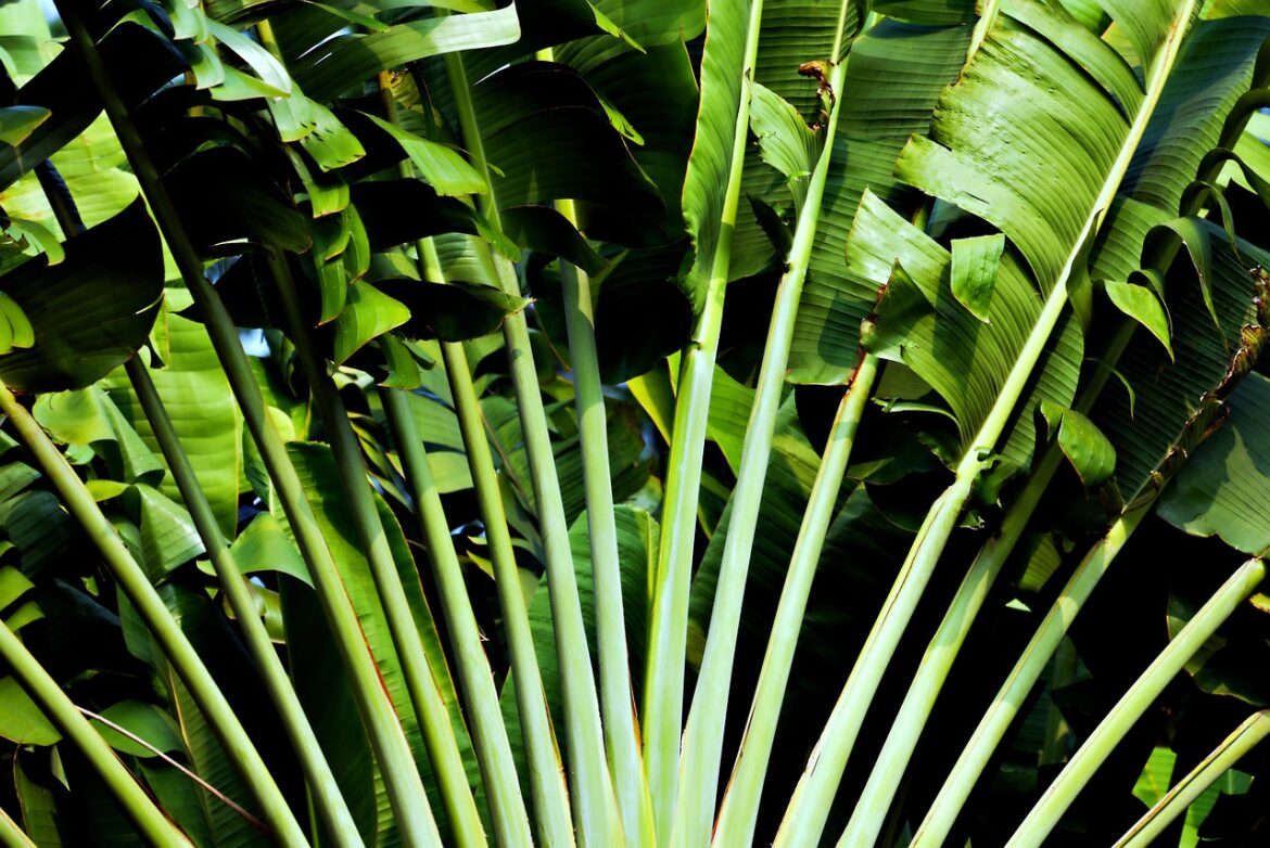 Green PCs in 2025: Real Steps Toward Eco-Friendly Computing