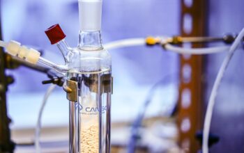 scientists in laboratory