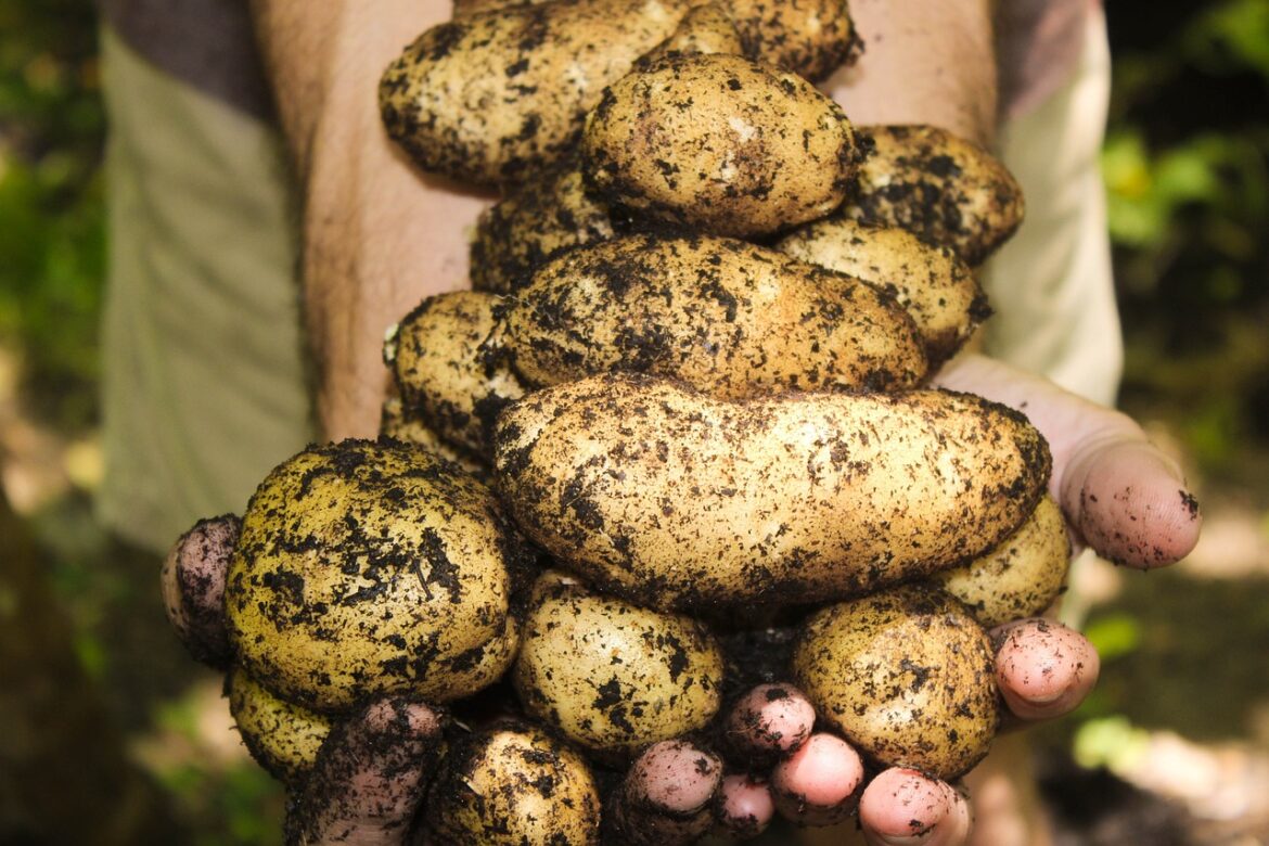Top Environmental Sustainability TV Shows Driving Real Change in 2025