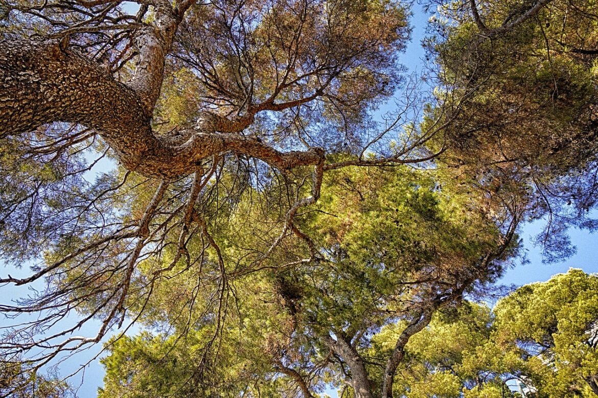 Designing for Earth: 5 Trends You Need to Know