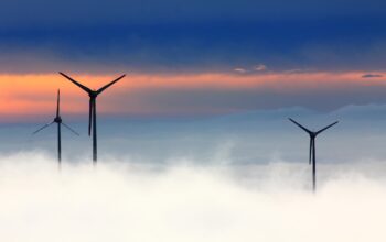 sustainable business practices