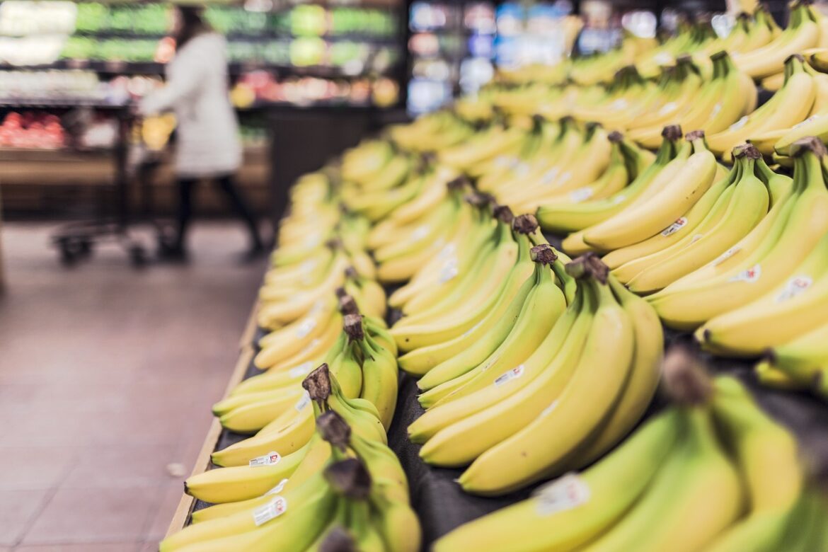 AI Revolution in Grocery Shopping