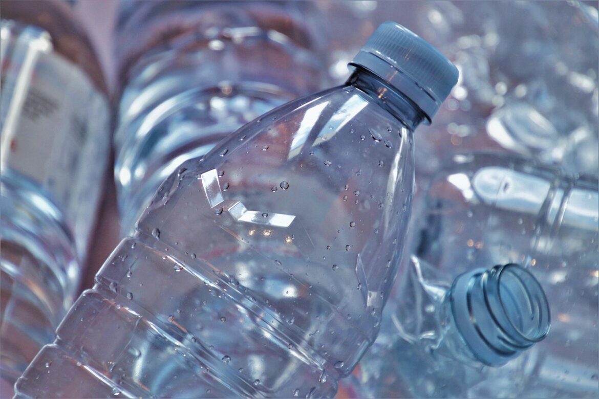 Grocery Trends: Sustainable Shifts