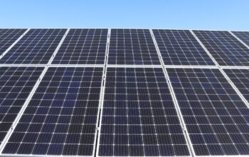 green forest renewable energy solar panels