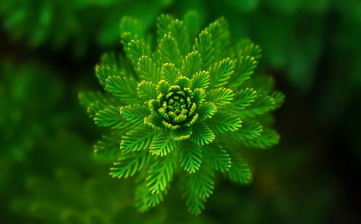 Eco-Friendly Wellness: 5 Trending Products Transforming Health and Planet Care