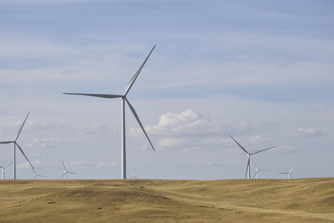 Sustainable Steps Forward