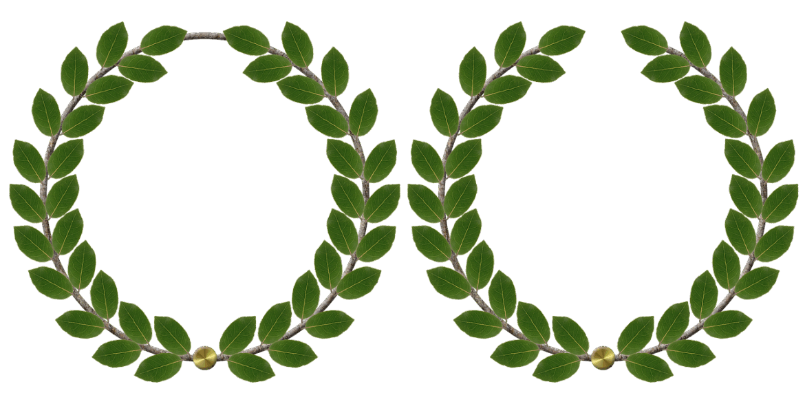 Trailblazers in Leadership