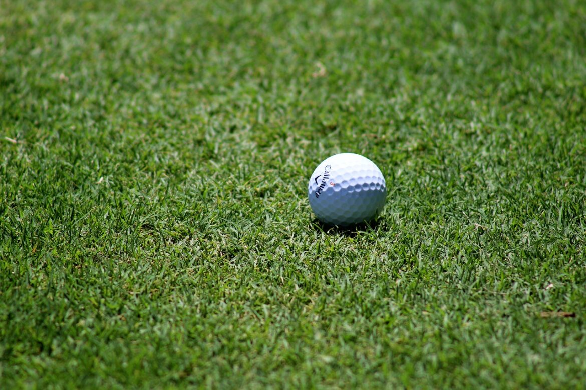 Sporting Green: How Sport is Leading the Way in Corporate Sustainability