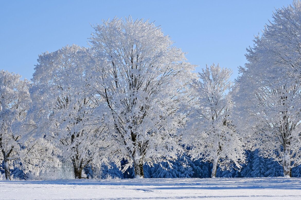 Collaborative Climate Breakthroughs: Real Stories Shaping Our Sustainable Future
