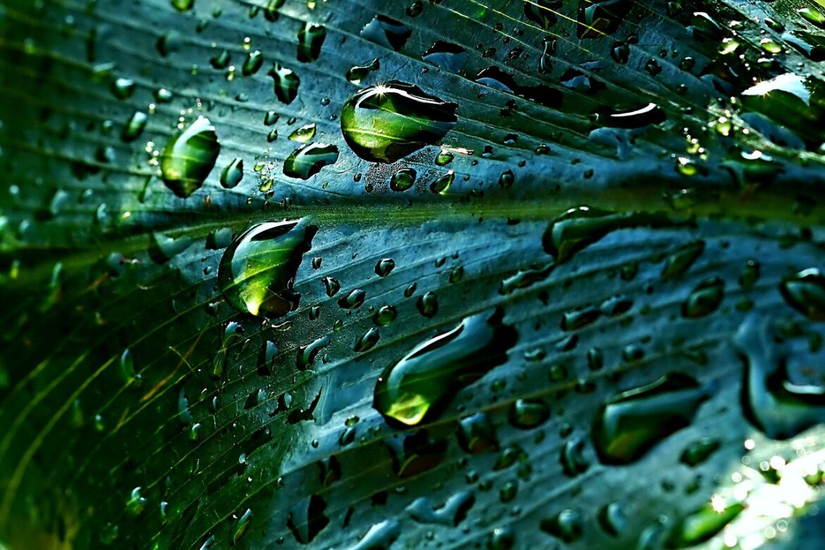 Earths Call To Action: 5 Environmental Trends