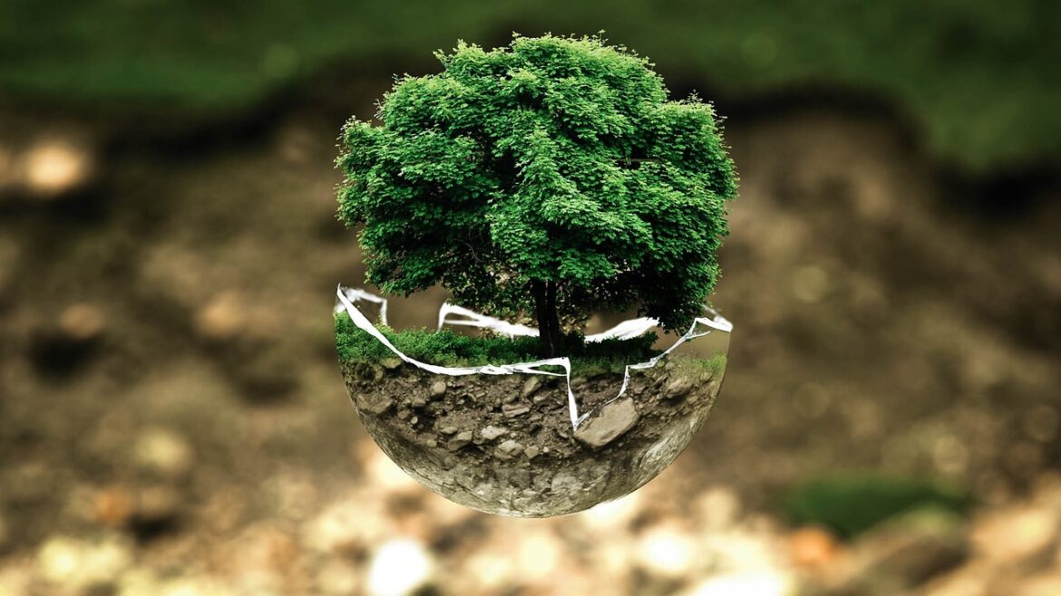 Sustainability in Action: Real-World Tutorials Shaping Our Green Future