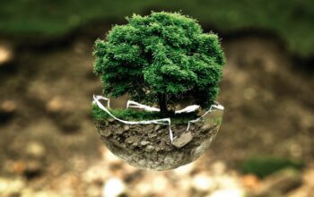green earth hands community trees