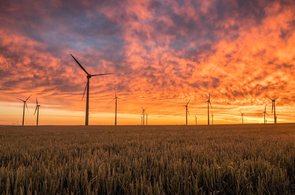 Global Environmental Wins: Ocean Protection, Renewable Energy Milestones, and Urban Green Initiatives