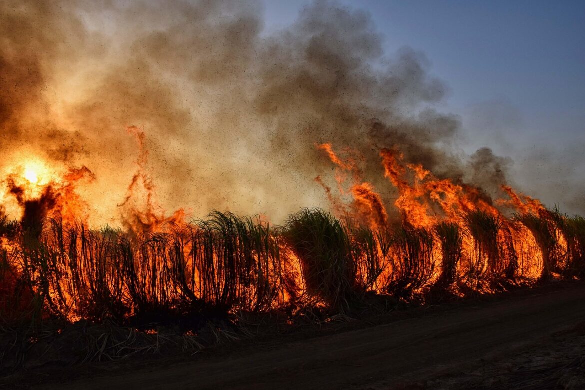 Leadership in Action: Tackling Extreme Weather and Wildfires Globally