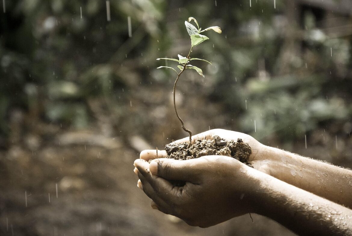 Tech For A Greener Future
