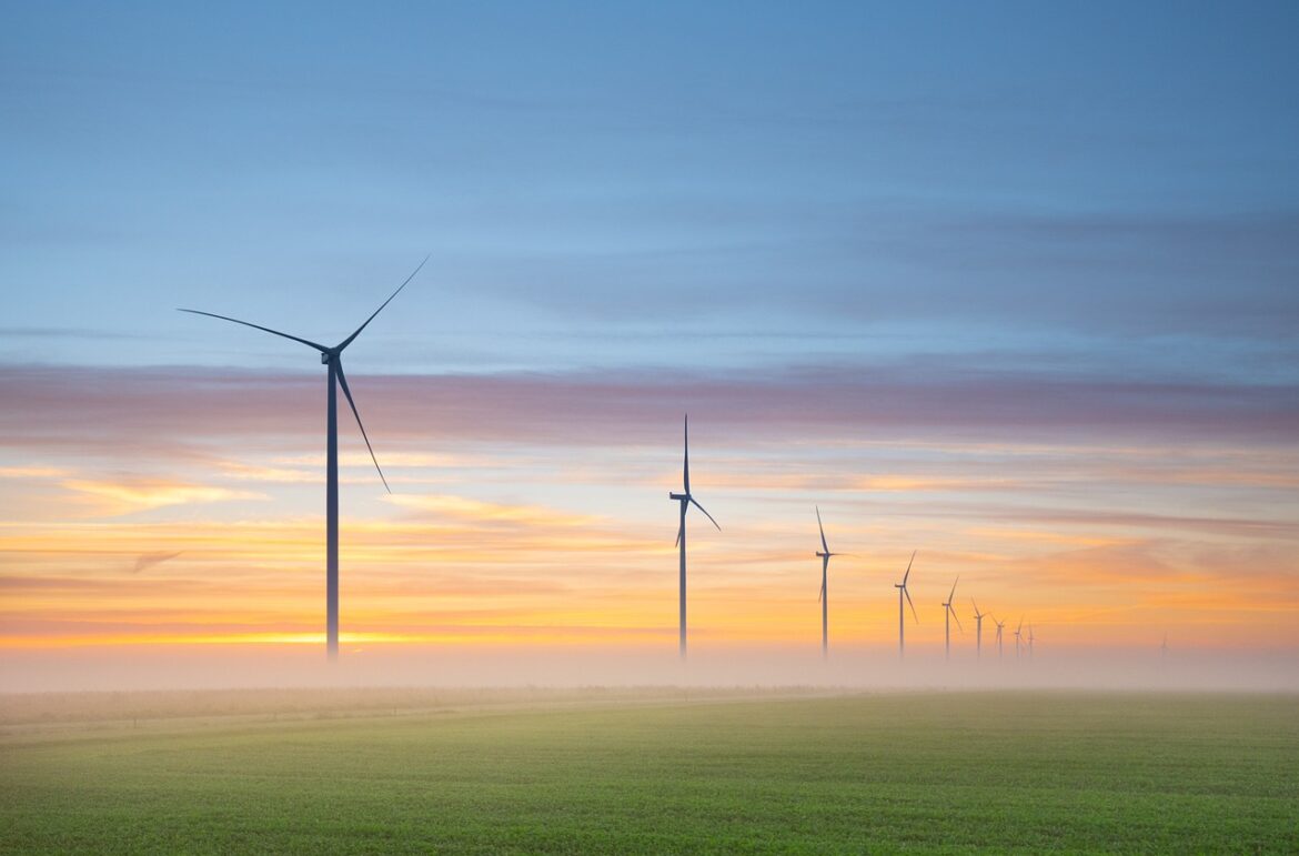 Sustainability Leads New Waves in the Pet Industry’s Corporate Practices