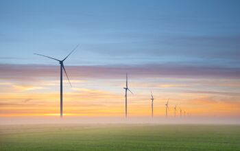 pet food packaging ecolabel renewable energy