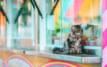 pet food production sustainability