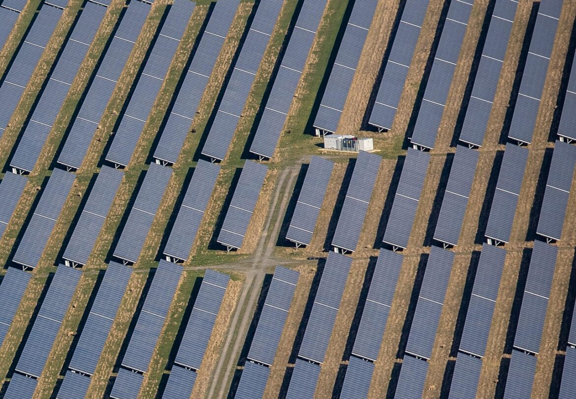 Global Sustainability in Action: Real Stories Driving Change in 2025