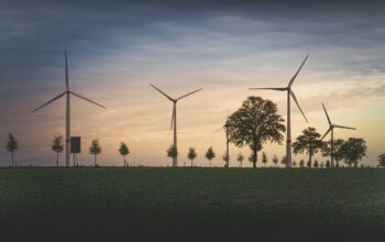 corporate teamwork environmental progress