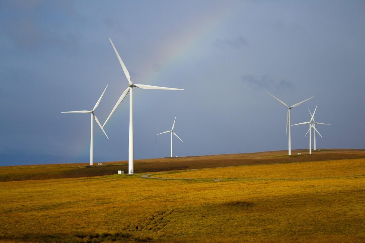 Real Stories Driving Environmental Sustainability into 2025 and Beyond