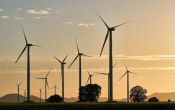solar panels wind turbines farmland productivity
