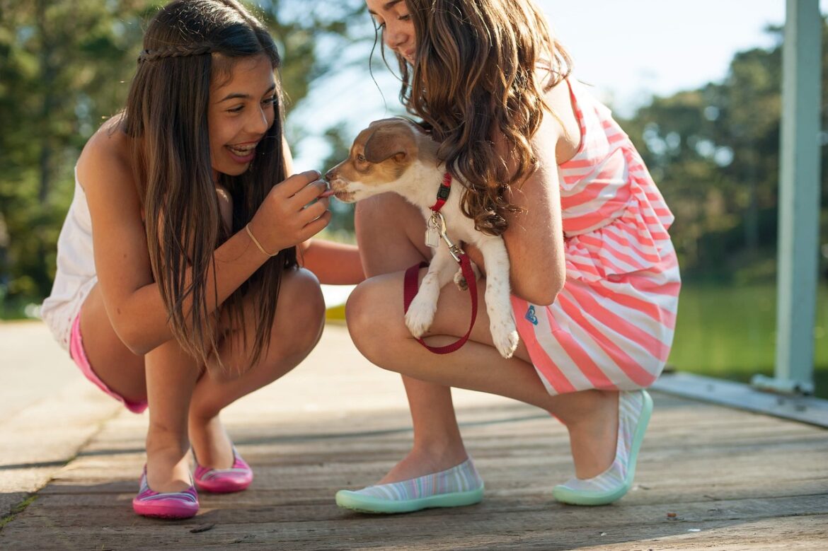 Why Pets Are Big Business: 2025 Trends Transforming the Pet Finance Landscape