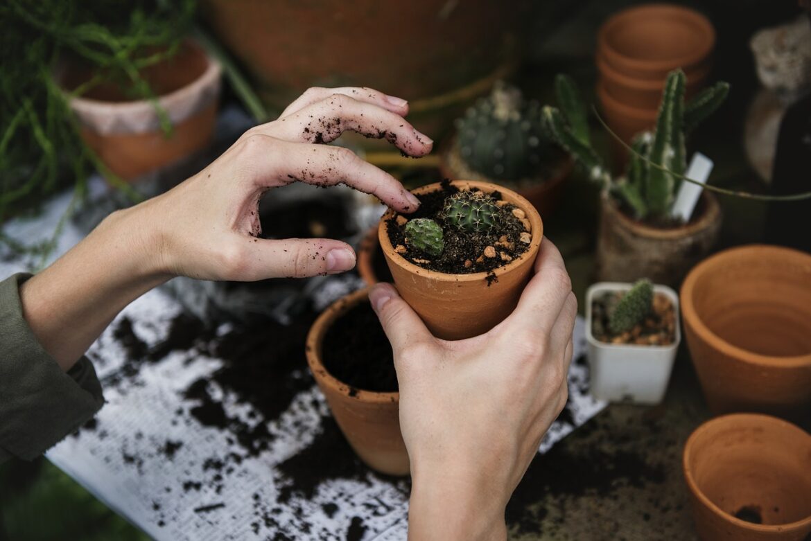 5 Real-World Wins in Environmental Sustainability
