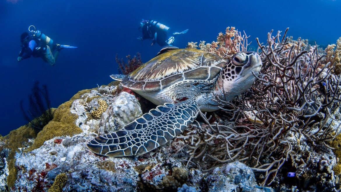 Climate Shifts: From Coral Reefs to Greener Deserts