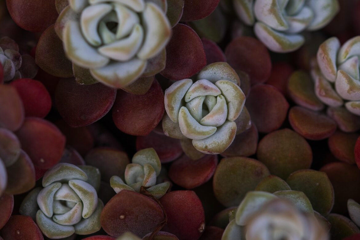 5 Open Source Projects Making Sustainability Real