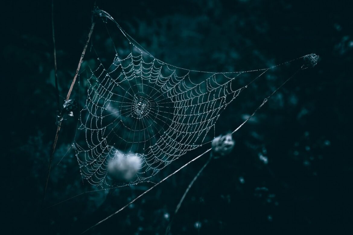Cyber Chaos: 2025s Wildest Hacks Exposed