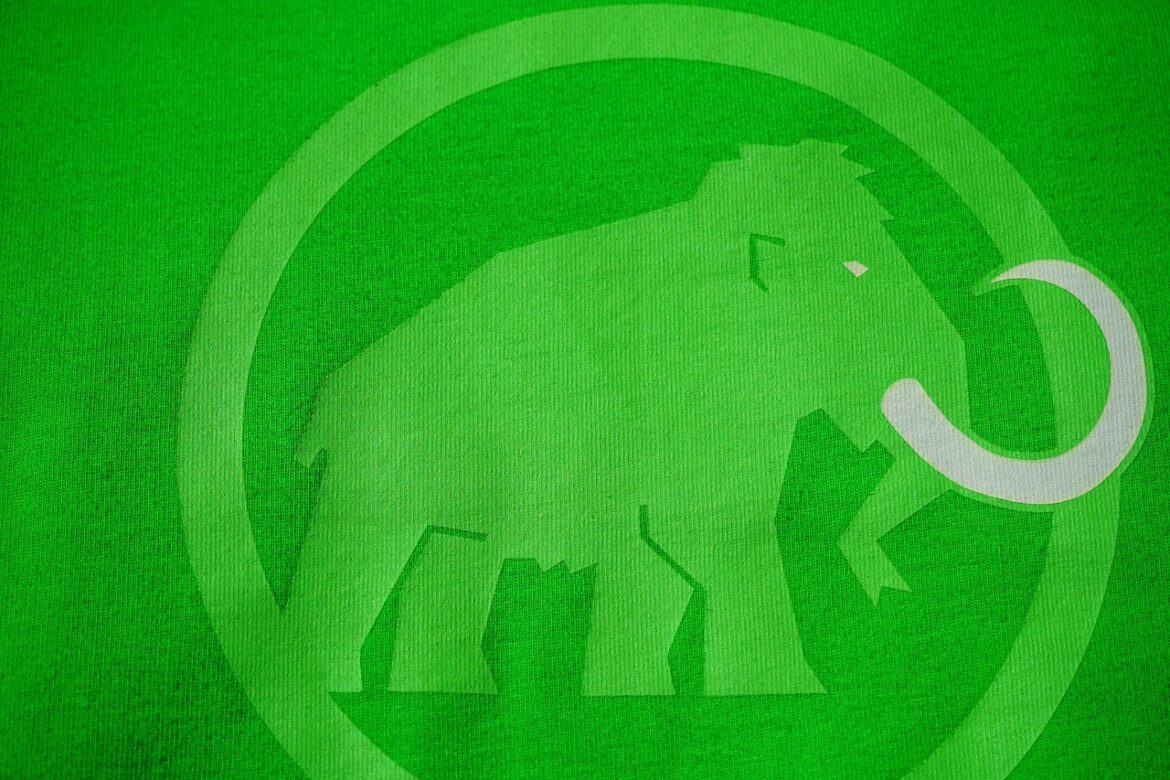 Brands Going Green: Top Eco Wins in 2025