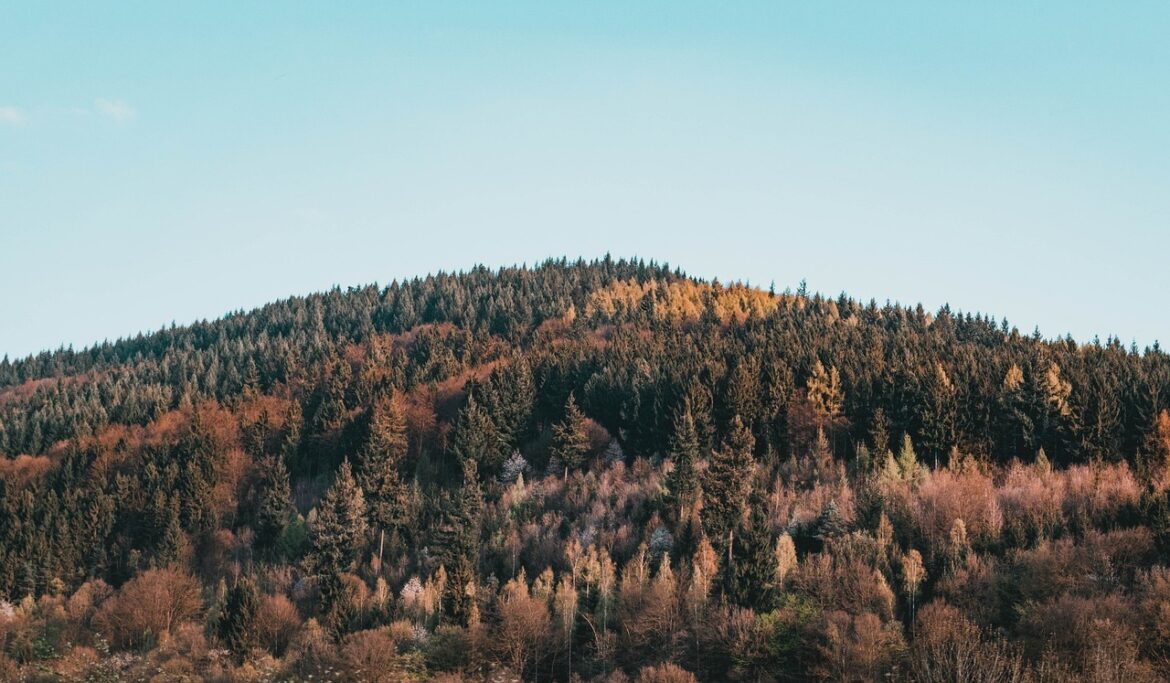 Green Wins Worldwide: Sustainability Stories Making Waves