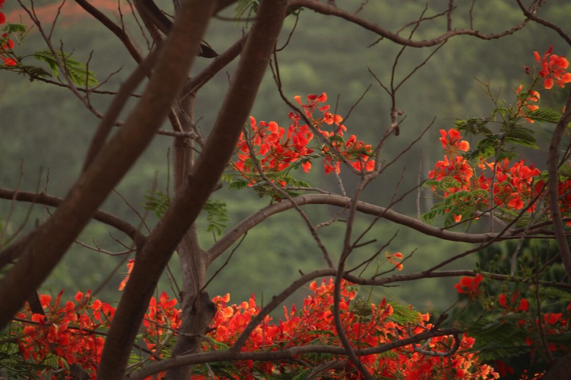 Green Drama Unfolds: 2026s Wild Sustainability Sagas